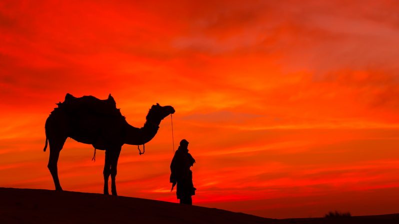 Man holding a camel