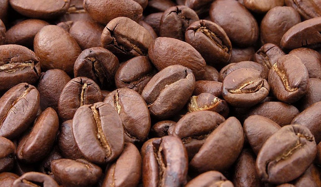  Granos de café arábica