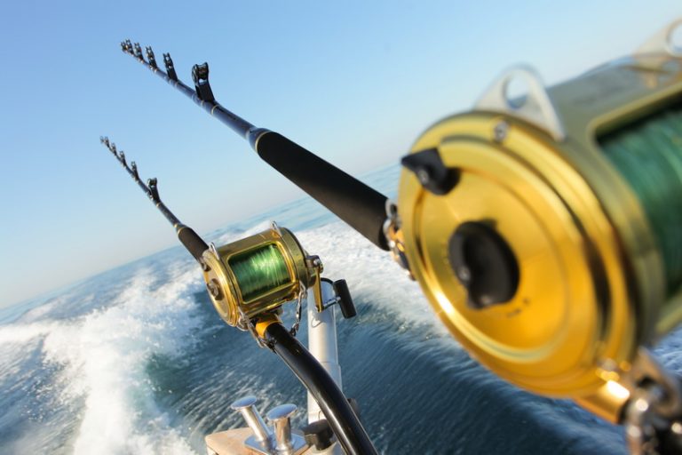Fishing License Dubai Best Fishing Spots in Dubai
