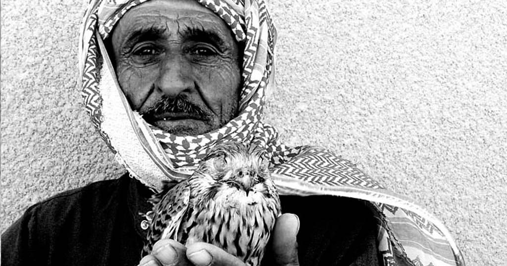 An old man with a baby falcon.