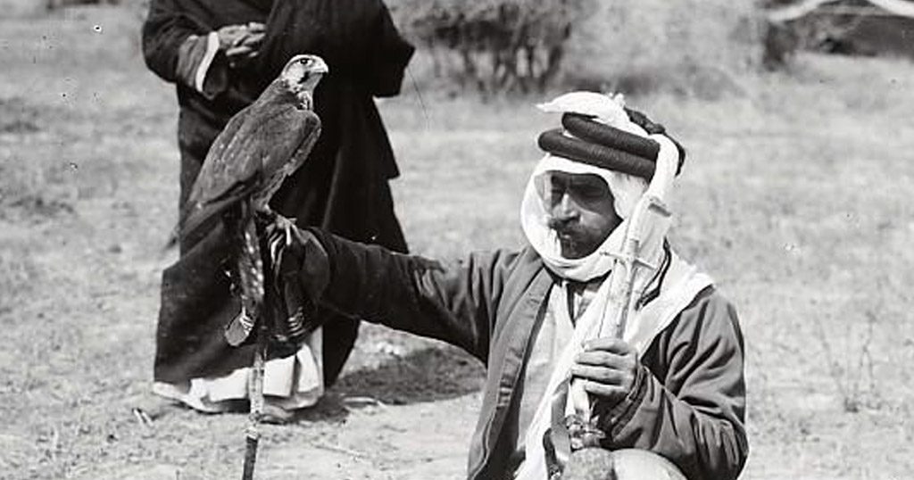 A Bedouin holding a falcon.
 