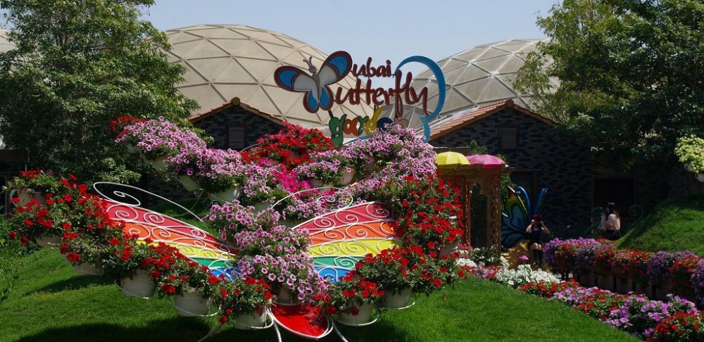 dubai butterfly garden