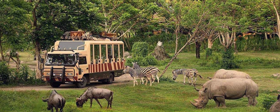 where is dubai safari park located