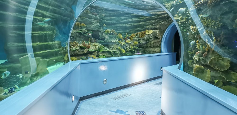 sharjah aquarium