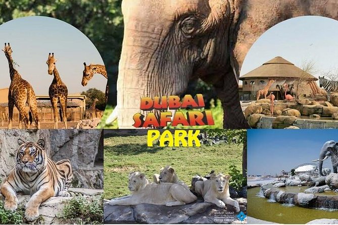 Dubai Safari Park | The Best Wild Life Park In Dubai