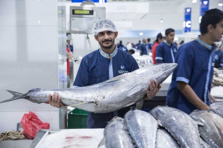 Fish Market Dubai Deira Fish Market Best Fishes In Dubai