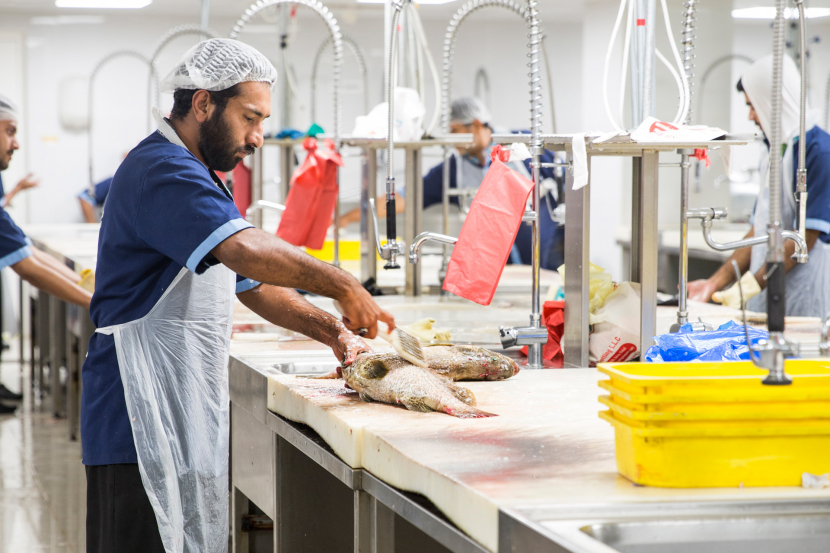 waterfront fish market dubai