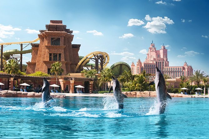 atlantis dolphin adventure