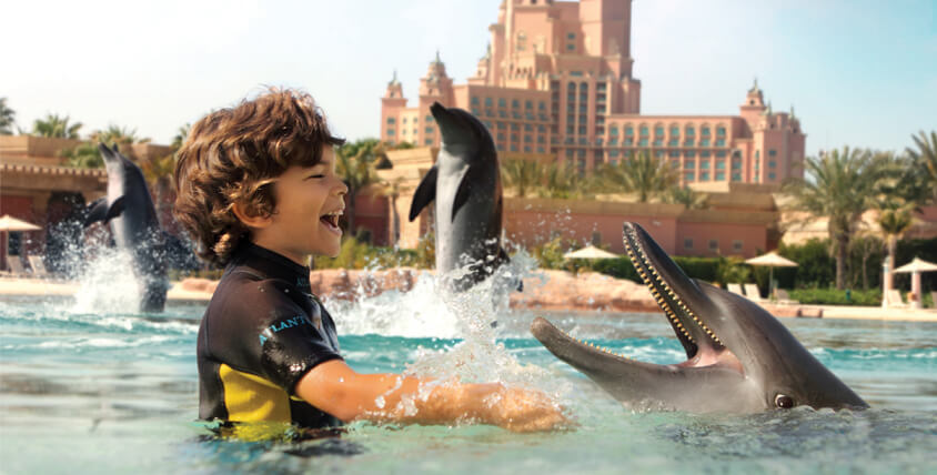 swim with dolphins dubai