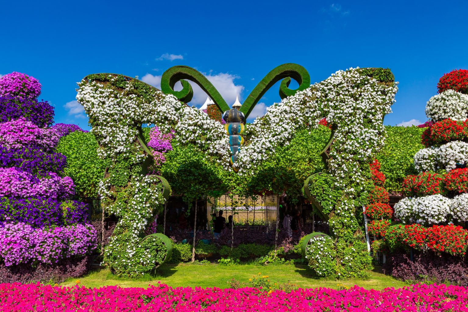Dubai Miracle Garden Beautiful Flower Garden Dubai